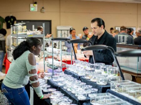 Vendor explaining care to an attendee